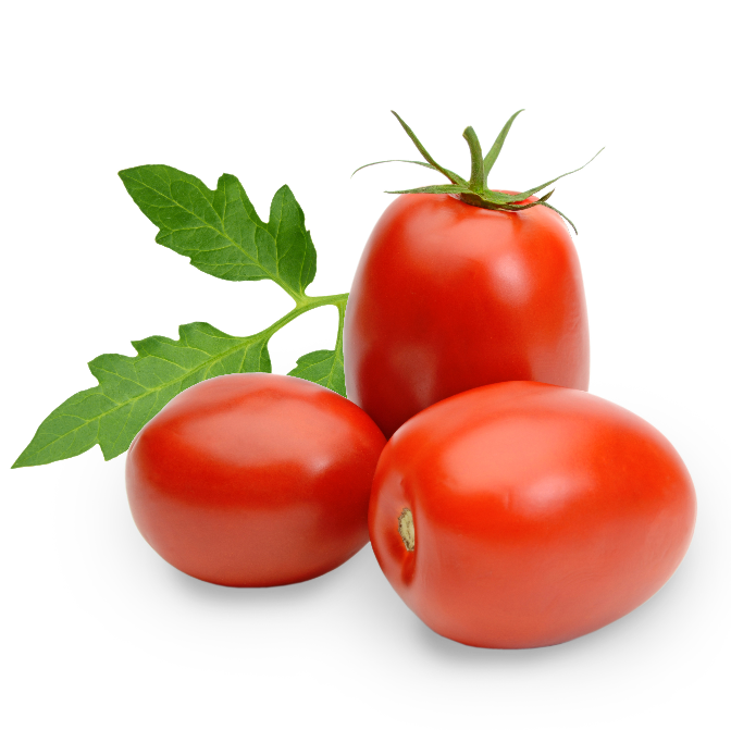 vegetablesNames.tomato